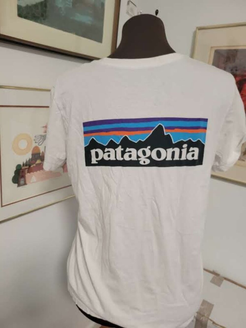 Patagonia White T-shirt Size M